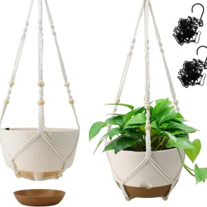 Hanging Planter Self Watering