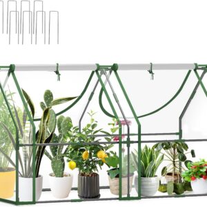 Mini Greenhouse