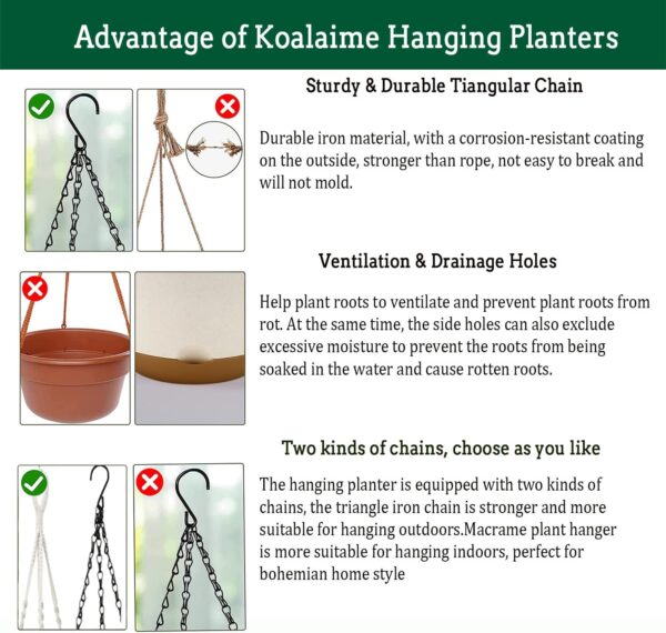 Hanging Planter Self Watering - Image 3