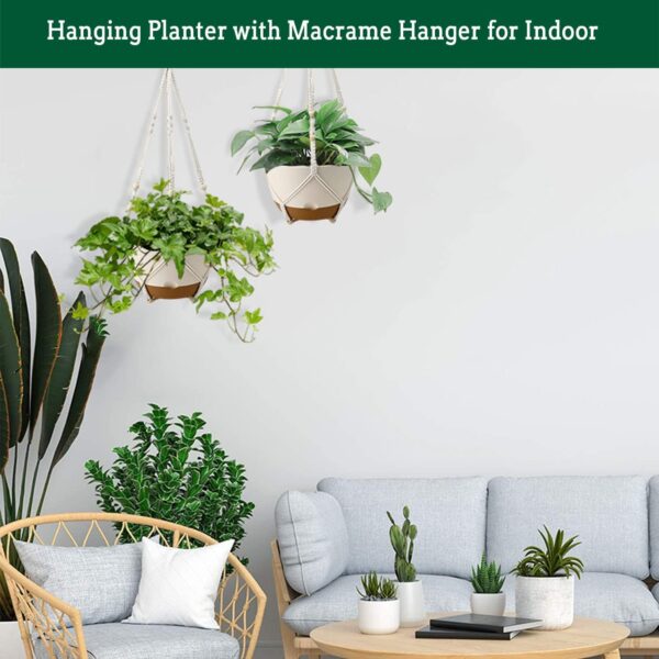 Hanging Planter Self Watering - Image 4