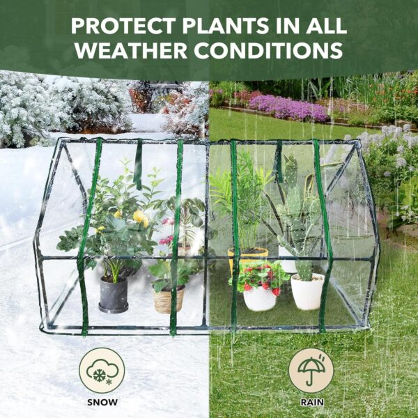 Mini Greenhouse - Image 5