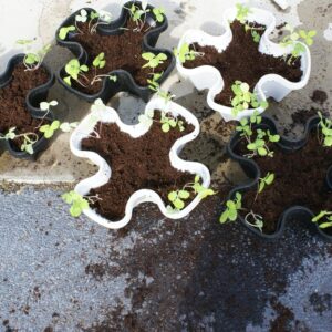 Vertical Planter