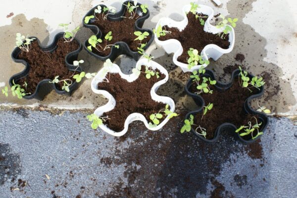 Vertical Planter - Image 2